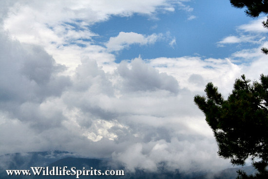 Click Picture to send as an  E-PostCard 63k 550x367